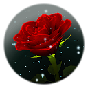 Enchanted Rose mobile app icon