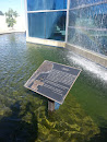 Museo Vida Silvestre Fountain
