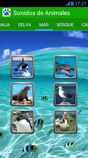 How to download Animals sounds with pictures lastet apk for bluestacks