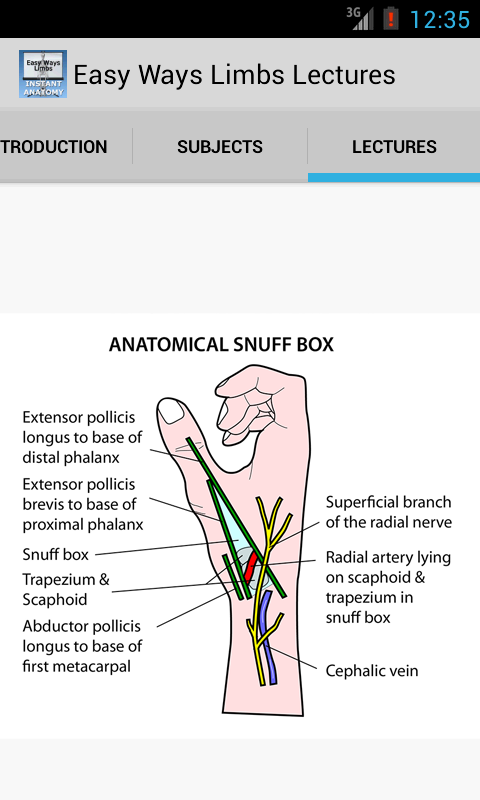 Easy Ways Limbs Screen 2