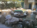 Twin Fountains Pool  