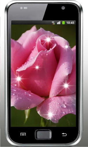 Roses Dew Drops live wallpaper