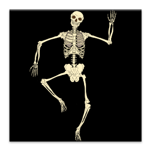 Skeleton Live Wallpaper on Google Play Reviews | Stats