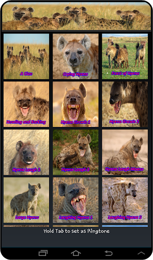 Hyena Soundboards