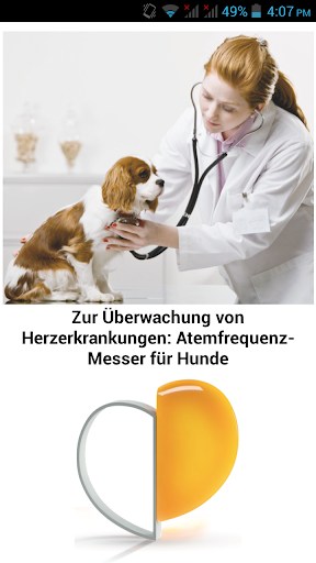 Atemfrequenz-Messer für Hunde