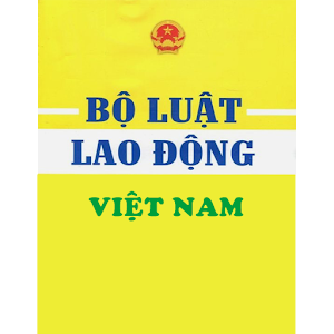 Bộ luật Lao động Việt Nam 1.01