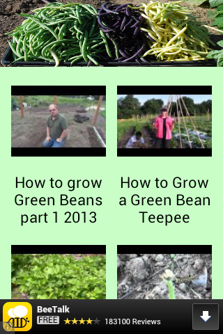 How to Grow Green Beans