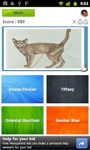 Cat Quiz Screenshots 2