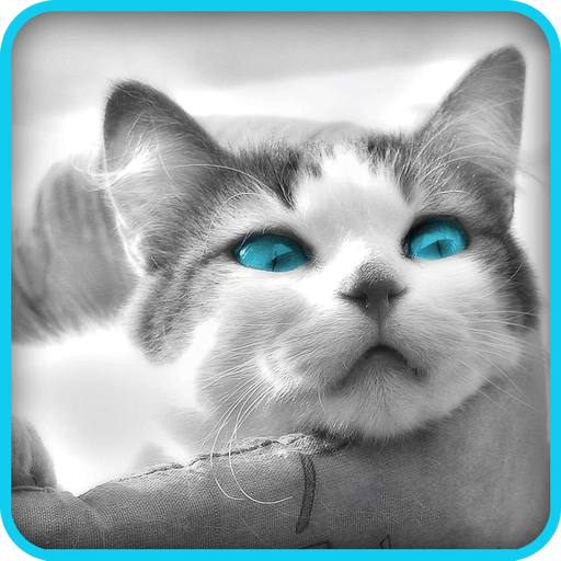 Tile Puzzle: Cute Kittens 2 mod apk - Download latest version 1.0.0