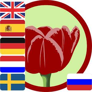 Guess the colour.apk 1.1.0