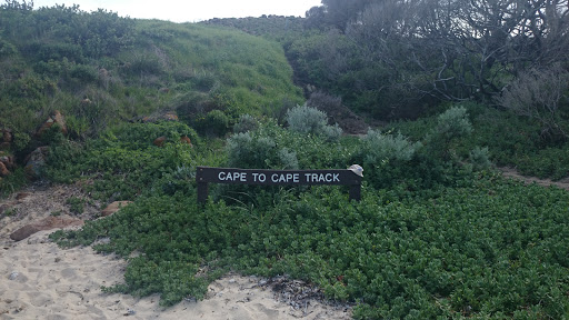 Cape to Cape Track at Gracetown 