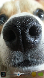 jednoduché zrcadlo poster 3