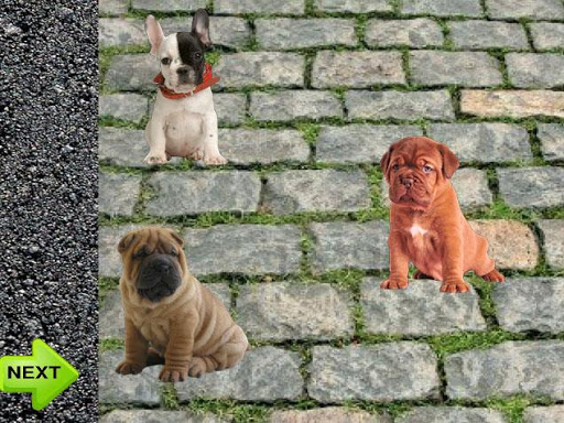 Puppies Toddlers Puzzle