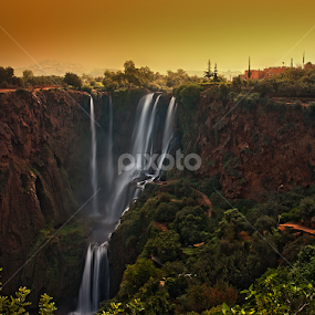 animal 5589 by Moussa Idrissi - Landscapes Mountains & Hills