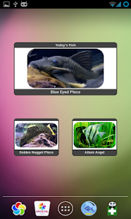 How to mod Tropical Fish Widget 1.77 unlimited apk for bluestacks
