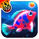 Magic Coral icon