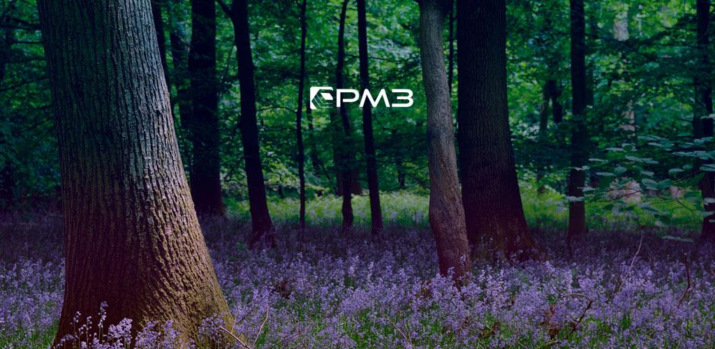 Pm 3. Pm 3. айтроник. разветвитель mpcie to 2 x mpcie.