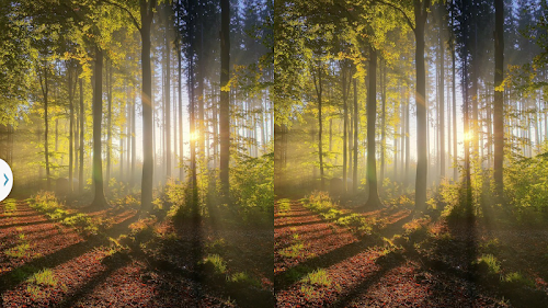 Android application Virtual Tour Google Cardboard screenshort