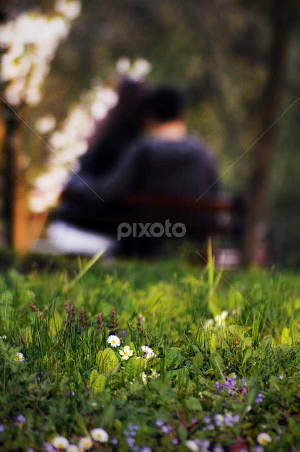 Lovers on bench by Frunzete Dorin - People Couples