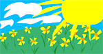 Sunshine and daffodils