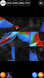Tile Puzzle: Birds poster 2