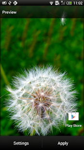 How to download Dandelion Live Wallpaper lastet apk for laptop