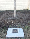 Shirley Greer Memorial Tree