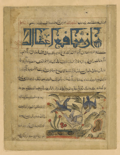 Folio from a Manafi' al-hayawan (Usefulness of animals) by Ibn Bakhtishu (d.1058); recto: text and illustration: Three doves in a rocky landscape; verso: text