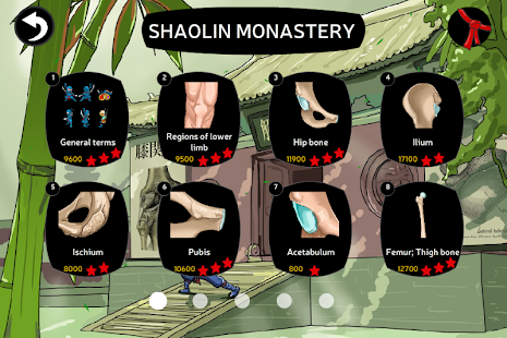 Anatomy Ninja Lower Limb - náhled