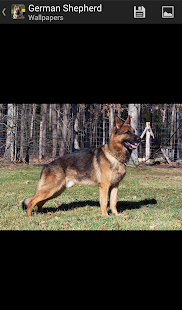 How to mod German Shepherd - HD Wallpaper 1.0.2 apk for bluestacks