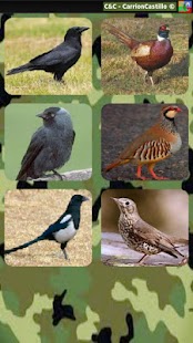 Free Download Caza Reclamo - APP APK for Android