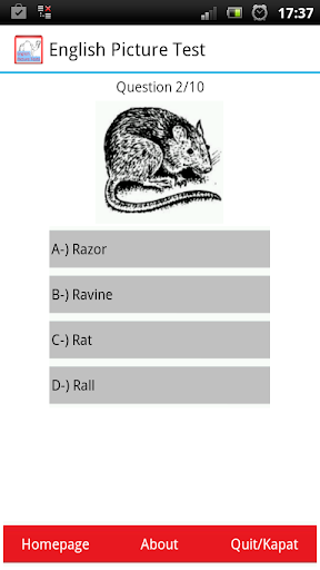 İngilizce Resimli Test