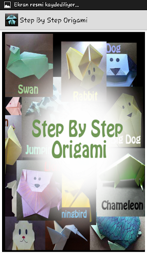 Step By Step Origami