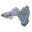 Guppy Labs Download on Windows