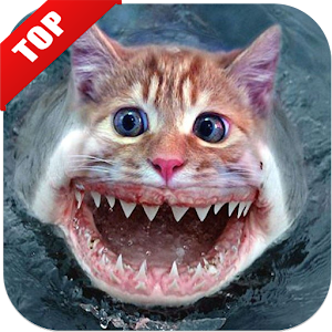 Funny pictures 1.0