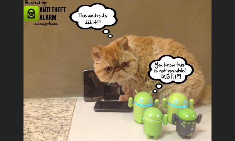    Anti Theft Alarm -Motion Alarm- screenshot  