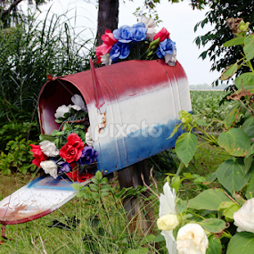 Red, white and blue mailbox by Marsha Biller - Artistic Objects Other Objects