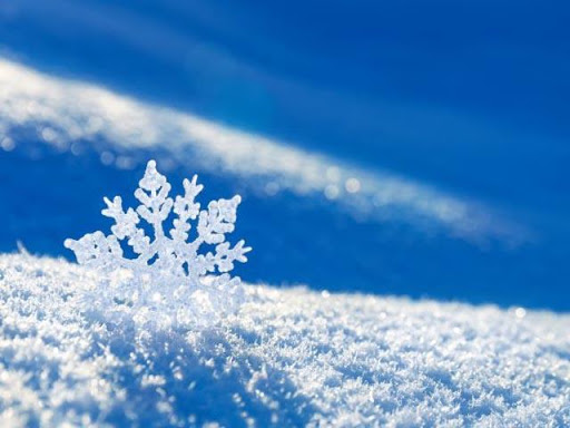 Snowflakes Wallpapers