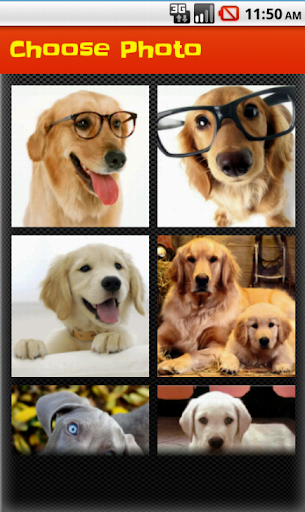 Cute Dogs Puzzle