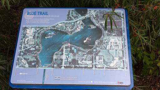 Blue Trail Info Marker