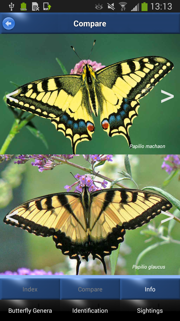 Butterfly Id - British Isles Screen 3