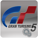 GT5 SETUP logo