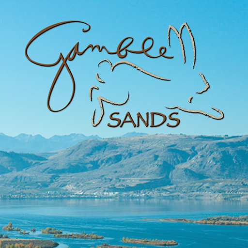 Gamble Sands LOGO-APP點子