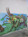 Graffiti Del Saltamontes
