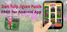 Siam Tulip Jigsaw Puzzles APK
