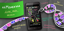 ayMolekula: Biology DNA free APK
