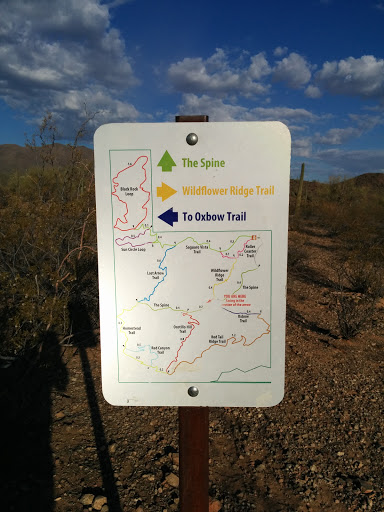 Sweetwater Preserve Trail #2