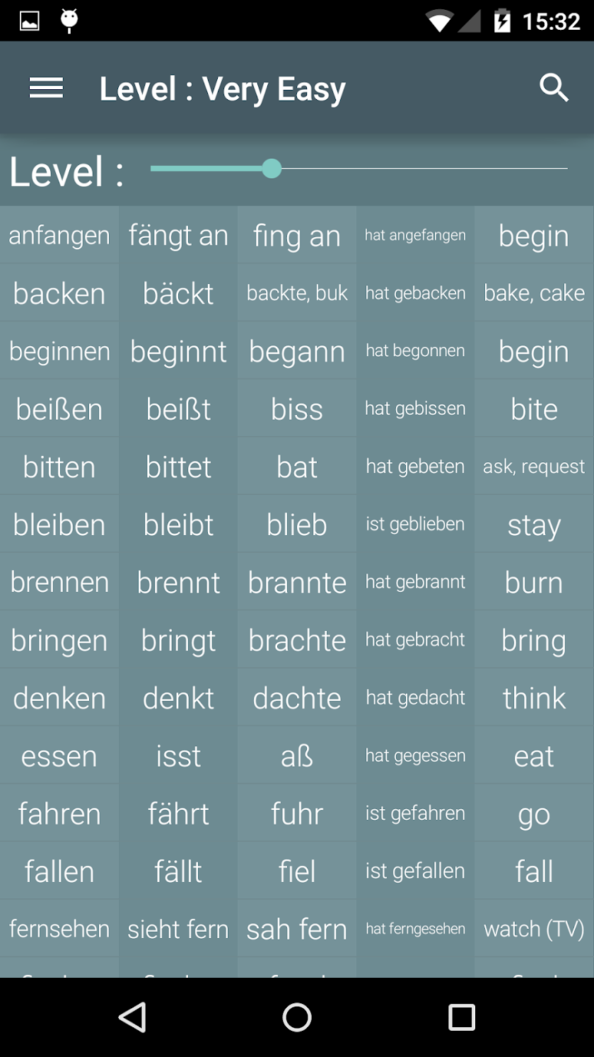 German Irregular Verbs Pro Screen 1