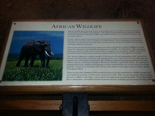 Cabelas African Wildlife Display