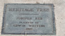 Heritage Tree  Jupiter Red